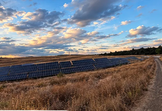 Solar panels at ground level under an evening sky